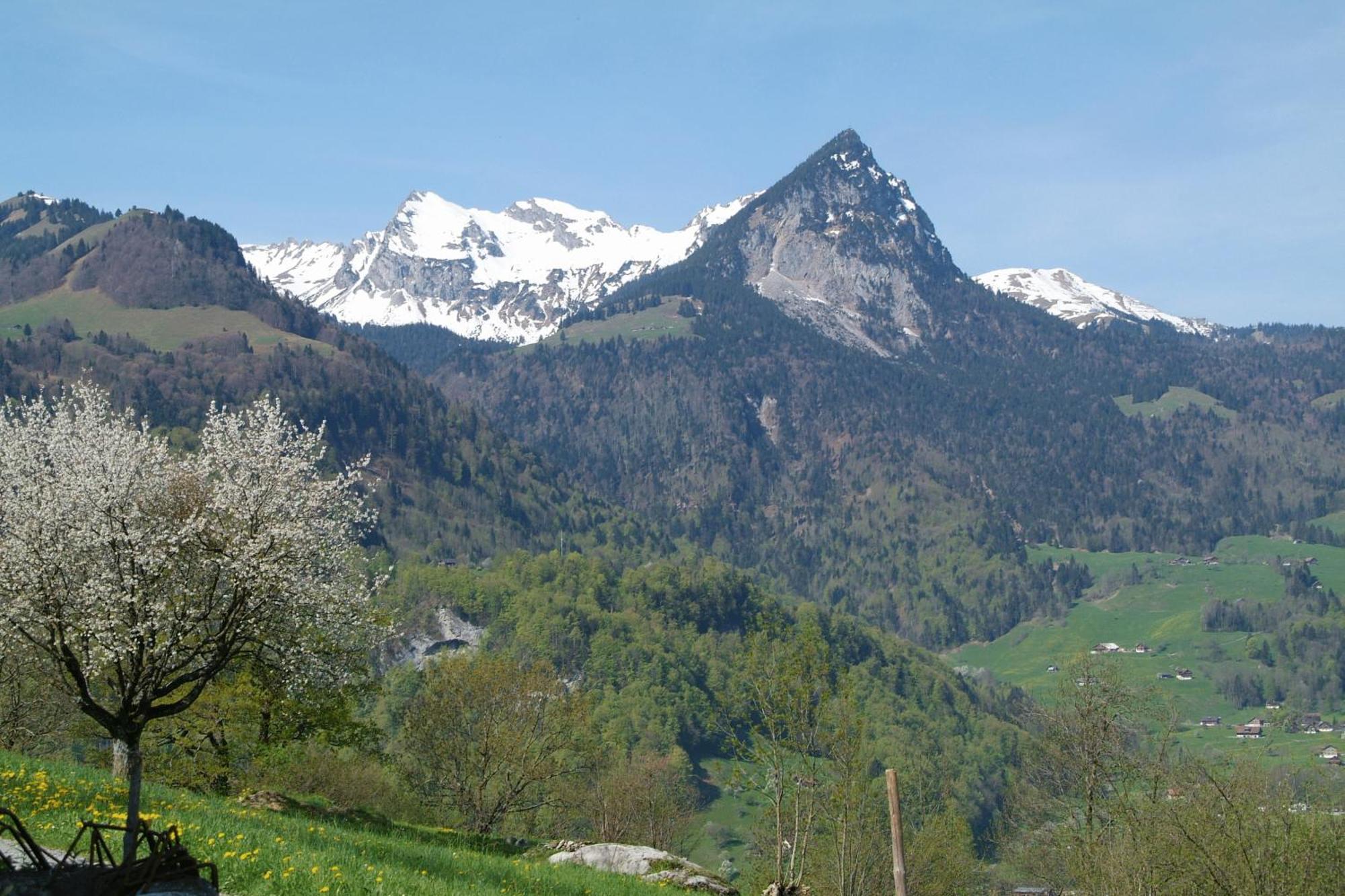 Landgasthof Grossteil Giswil Екстер'єр фото