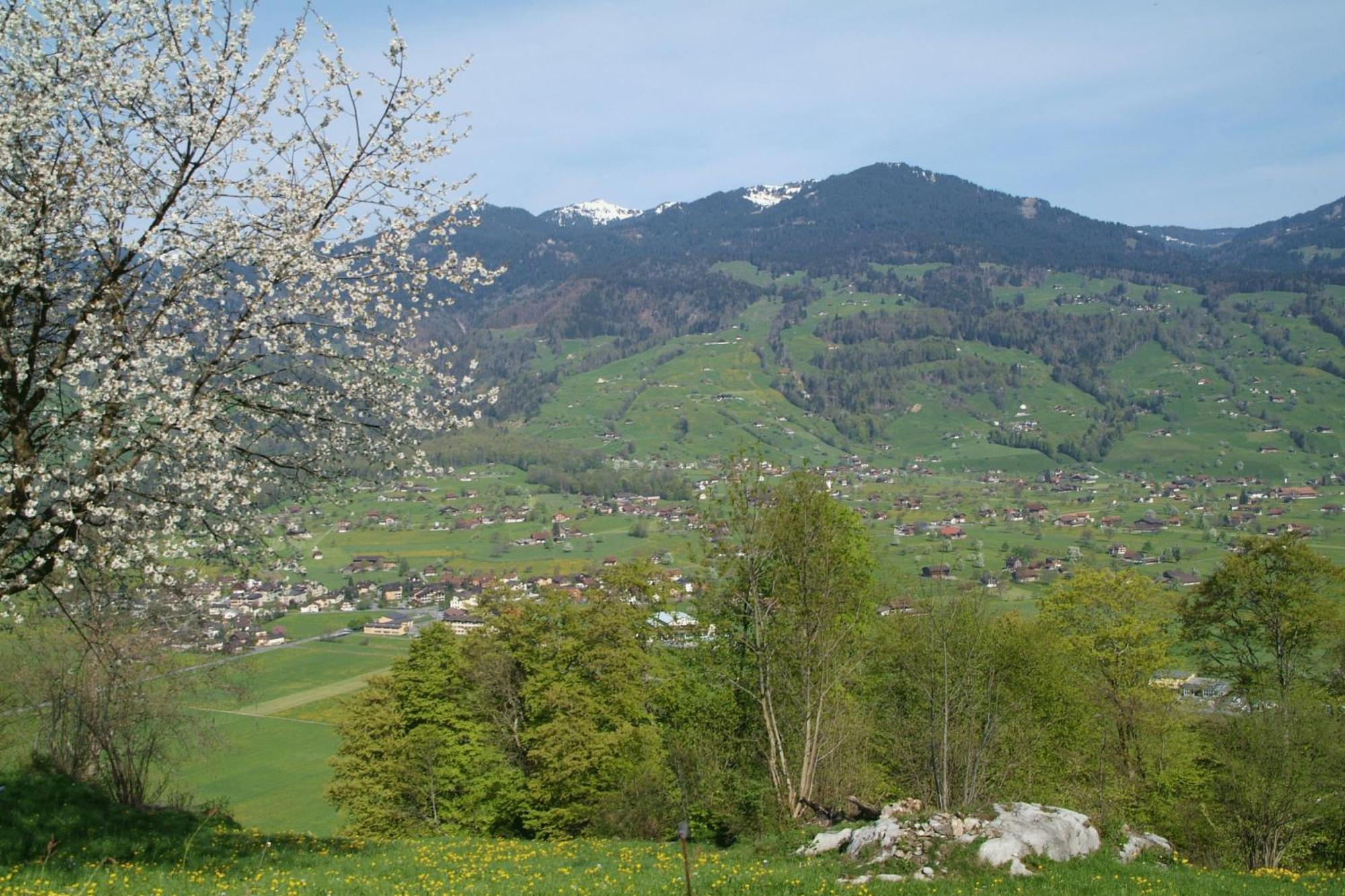 Landgasthof Grossteil Giswil Екстер'єр фото