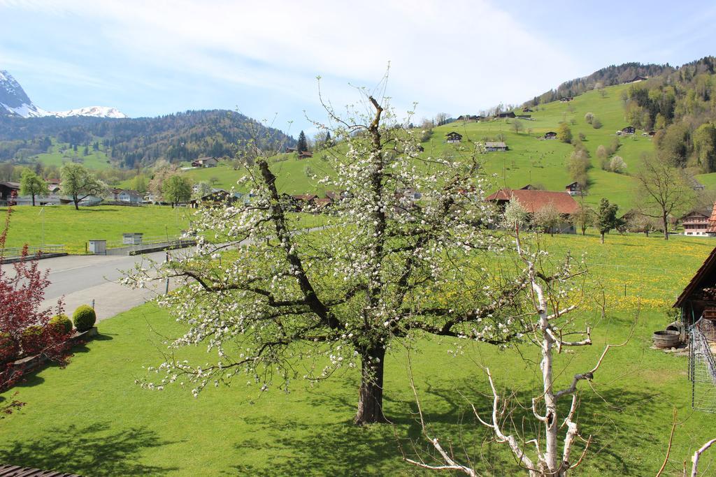 Landgasthof Grossteil Giswil Екстер'єр фото