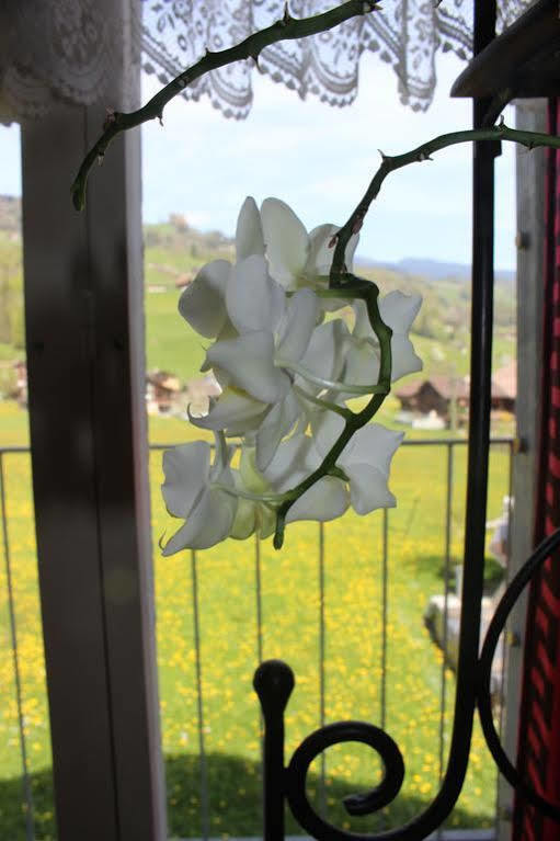 Landgasthof Grossteil Giswil Екстер'єр фото